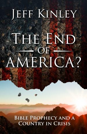 Cover of the book The End of America? by Julie Ertz