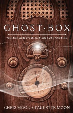 Cover of the book Ghost Box by Ursula Demarmels