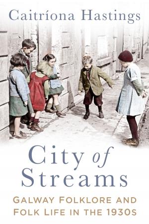 Cover of the book City of Streams by R.E. Foster