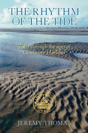 Cover of the book Rhythm of the Tide by C.B. Hanley