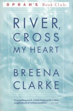 Cover of the book River, Cross My Heart by Fredrik T. Olsson