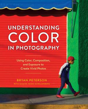 Cover of Understanding Color in Photography