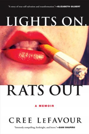 Book cover of Lights On, Rats Out