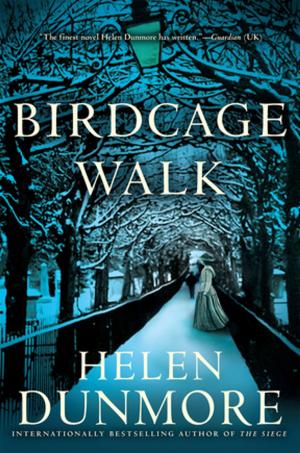 Cover of the book Birdcage Walk by Jonathan Miles