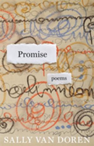 Cover of the book Promise by Gavin Wright