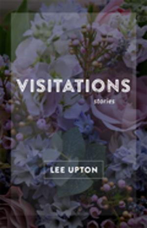 Cover of the book Visitations by Scott S. Ellis