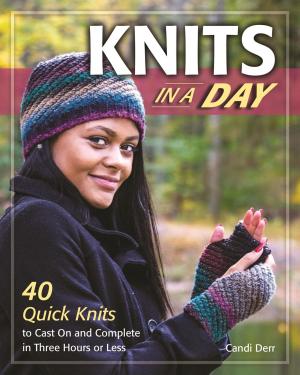 Cover of the book Knits in a Day by Mary Holland