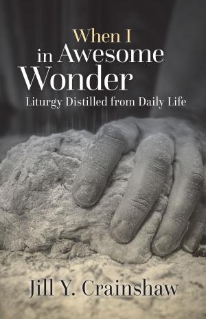 Cover of the book When I in Awesome Wonder by Paul Turner STD