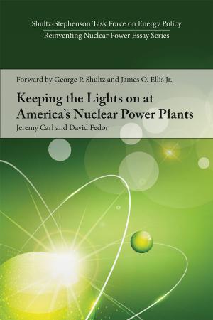 Book cover of Keeping the Lights on at America's Nuclear Power Plants