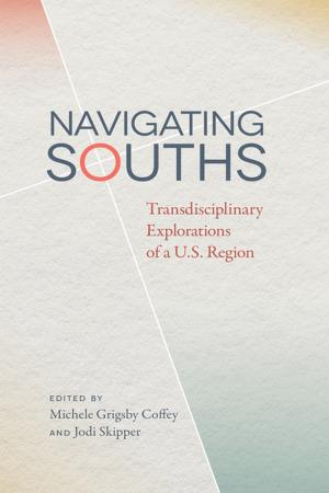 Book cover of Navigating Souths