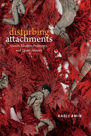 Cover of the book Disturbing Attachments by Grant Hill
