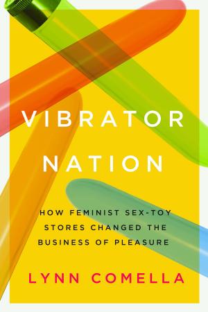 Cover of the book Vibrator Nation by Maria Elena Buszek
