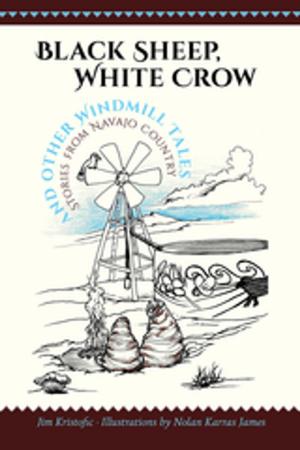 Cover of the book Black Sheep, White Crow and Other Windmill Tales by Erna Fergusson