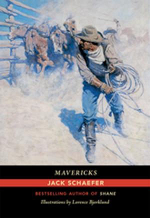 Cover of the book Mavericks by W. Chad McPhail, Mark D. Williams