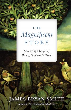 Cover of the book The Magnificent Story by Rick Hoover