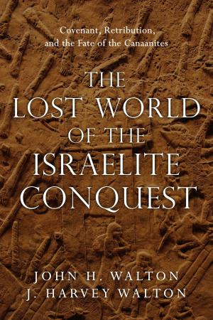 Book cover of The Lost World of the Israelite Conquest