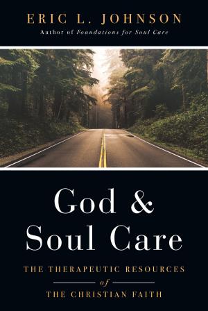 Cover of the book God and Soul Care by A. Chadwick Thornhill