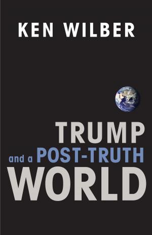 Cover of the book Trump and a Post-Truth World by Rabbi Niles Elliot Goldstein