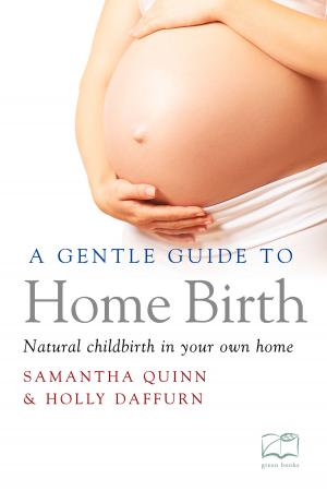 Book cover of Gentle Guide to Home Birth