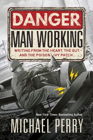 Cover of the book Danger, Man Working by John Nichols, Dave Zweifel