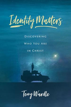 Cover of Identity Matters