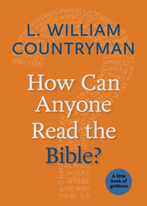 Cover of the book How Can Anyone Read the Bible? by Paul Jeffrey, Chris Herlinger