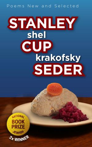 Cover of the book STANLEY CUP SEDER by J. Rickley Dumm