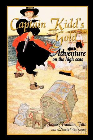 Cover of the book Captain Kidd's Gold by Joe Derkacht