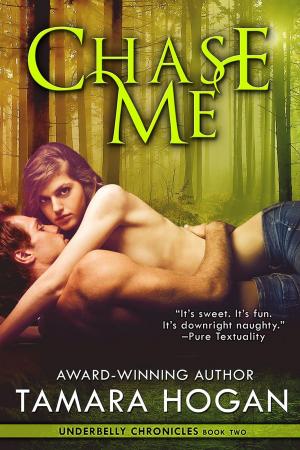 Cover of the book Chase Me by Neil Haugerud