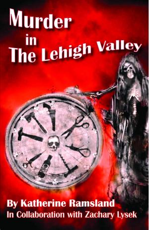Book cover of Murder in The Lehigh Valley