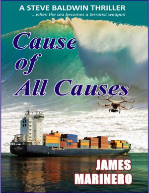 Cover of the book Cause of All Causes by Idelle Kursman