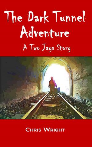 bigCover of the book The Dark Tunnel Adventure by 