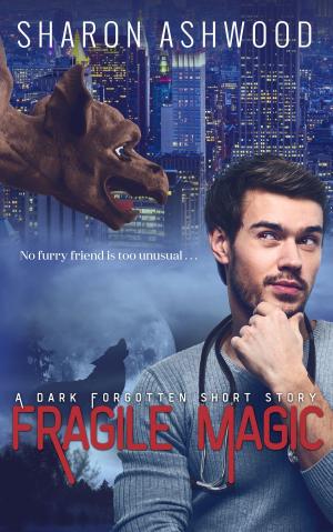 Book cover of Fragile Magic
