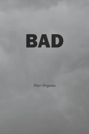 Cover of the book BAD by Scott Cherney