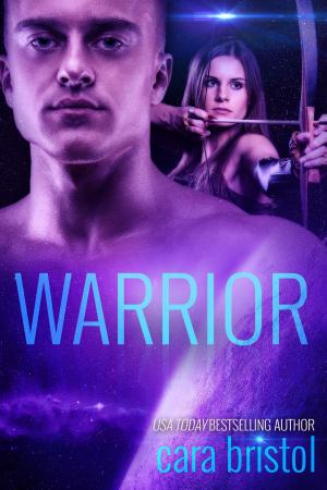 Cover of the book Warrior by Linda Tiernan Kepner