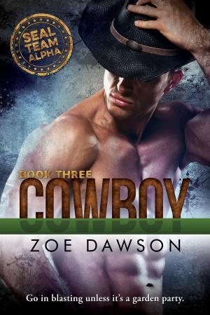 Cover of the book Cowboy by Anna G., Lovely Covers