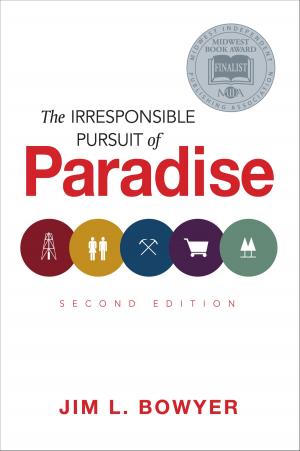 Cover of the book The Irresponsible Pursuit of Paradise, 2nd Edition by Grace MN