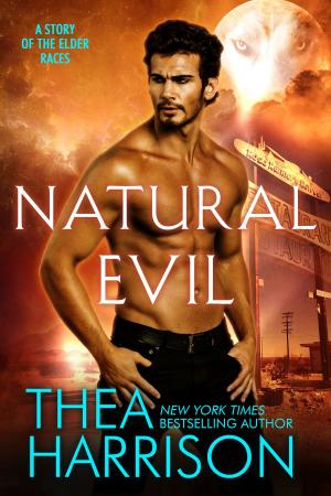 Cover of the book Natural Evil by Brooke Brennan