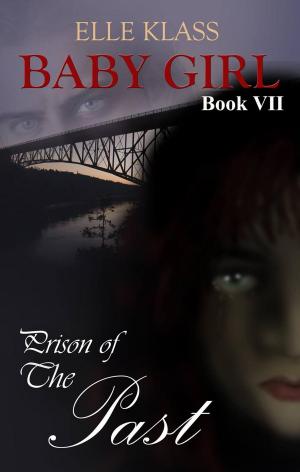 Cover of the book Prison of the Past by Linda Mickey
