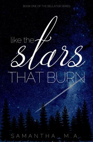 Cover of the book Like The Stars That Burn by Michele Pollock Dalton