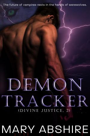 Book cover of Demon Tracker (Divine Justice, 2)