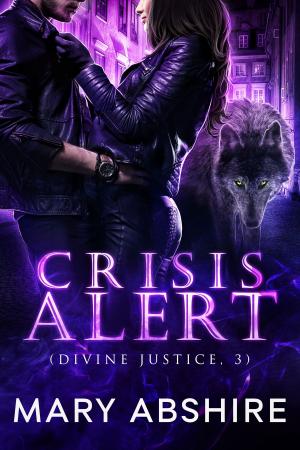 Cover of Crisis Alert (Divine Justice, 3)