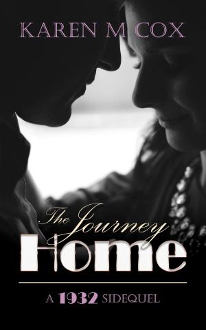 Cover of the book The Journey Home by Jillianne Hamilton