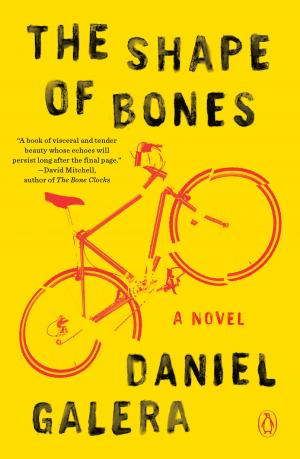 Cover of the book The Shape of Bones by Ryan David Jahn