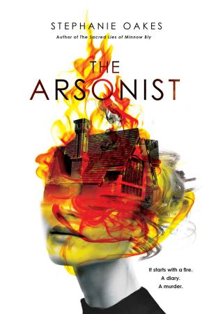 Cover of the book The Arsonist by Joseph Bruchac