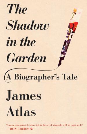 bigCover of the book The Shadow in the Garden by 