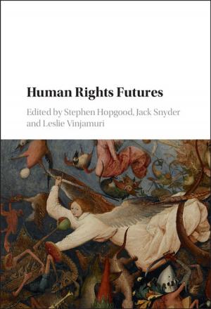 Cover of the book Human Rights Futures by Ruvi Ziegler