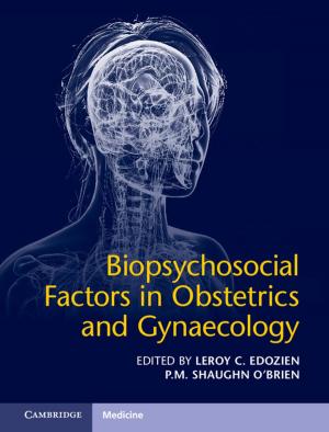 Cover of the book Biopsychosocial Factors in Obstetrics and Gynaecology by Zachary P. Biles