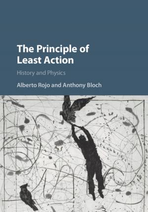 Cover of the book The Principle of Least Action by Becca McBride