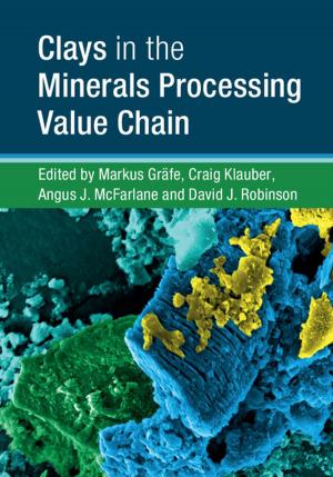 Cover of the book Clays in the Minerals Processing Value Chain by Neil Mann, Sarah Elton, Stanley J. Ulijaszek